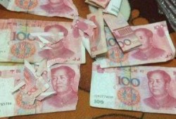 爆料二哈视频大全下载安装,笑料横生的萌犬瞬间